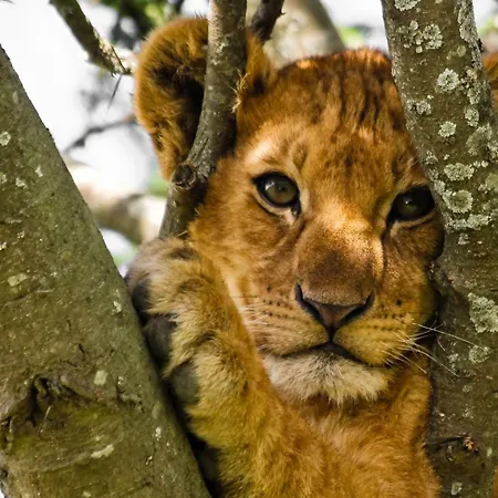 Rum i privatbostad V Prazskych Holesovicich C1 Prag